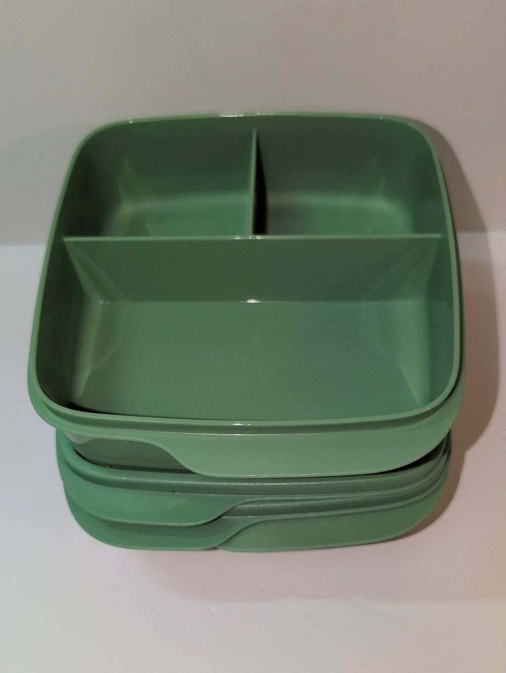 Tupperware®️ Eco Divided Dish Set Of 2